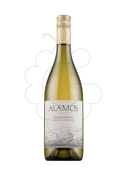 Foto Alamos Chardonnay vi blanc
