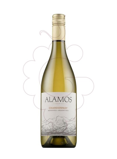 Foto Alamos Chardonnay vi blanc