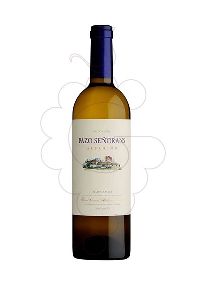 Foto Albariño Pazo Señorans Magnum vi blanc
