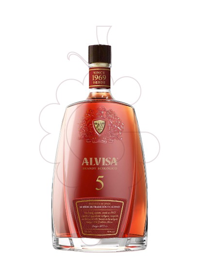 Foto Brandi Alvisa 5 Anys