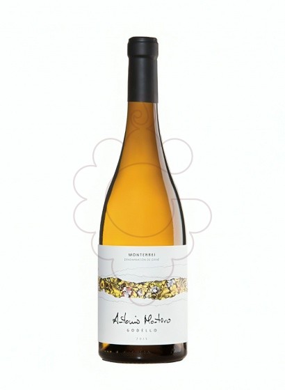 Foto Antonio montero godello 75 cl vi blanc