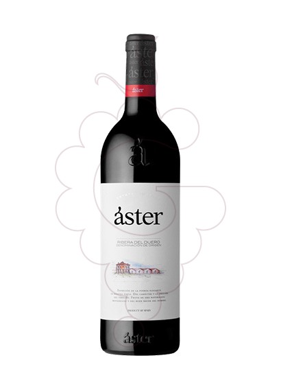 Foto Aster Crianza vi negre