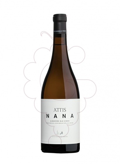 Foto Attis Albariño Nana vi blanc