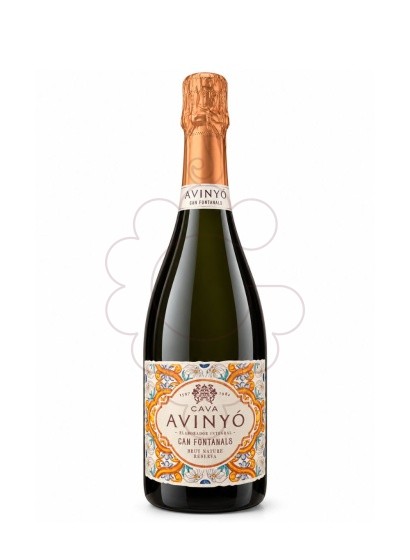 Foto Avinyo can fontanals brut nat. vi escumós
