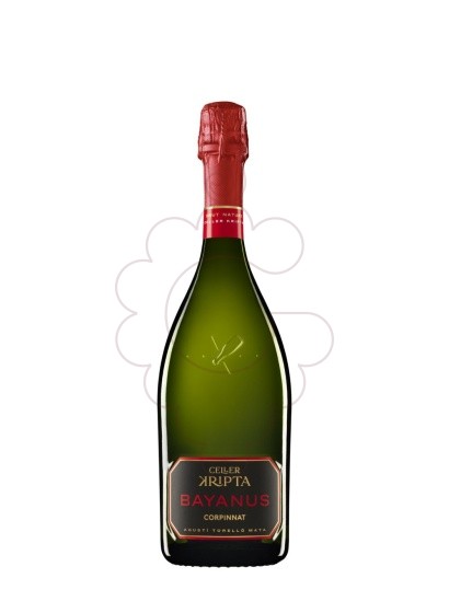 Foto Kripta Bayanus Brut Nature  vi escumós