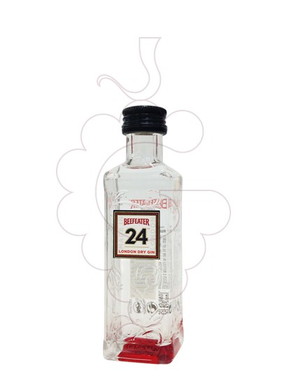 Foto Ginebra Beefeater 24 (mini)