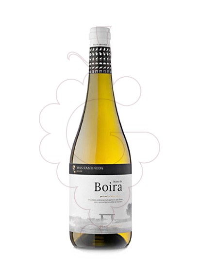 Foto Blanc de Boira vi blanc