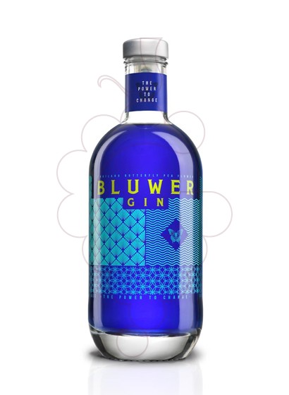 Foto Ginebra Bluwer