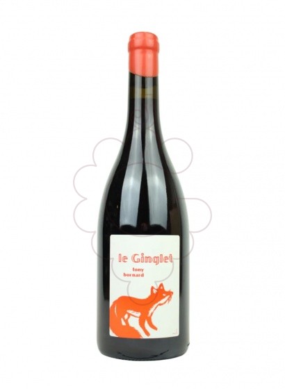 Foto Bornard Trousseau Le Ginglet vi negre