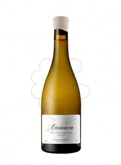 Foto Cantaca blanc 75 cl vi blanc
