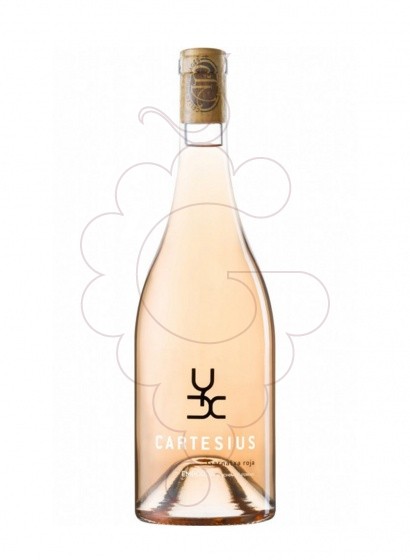 Foto Cartesius Rosat vi rosat