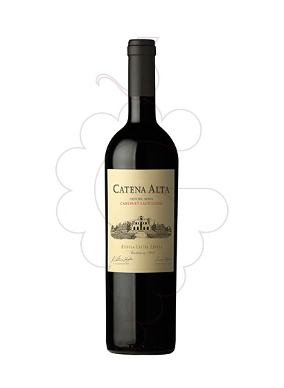 Foto Catena Alta Cabernet Sauvignon vi negre