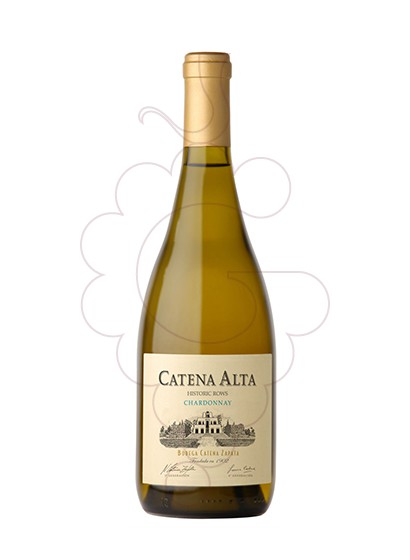 Foto Catena Alta Chardonnay  vi blanc