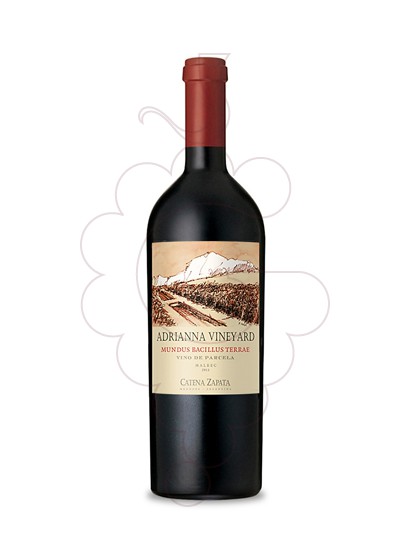 Foto Catena Zapata Adrianna Vineyard Mundus Bacillus Terrae vi negre
