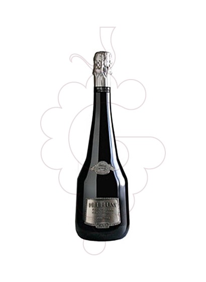 Foto Cavas Hill Hillium Gran Reserva Brut Nature vi escumós