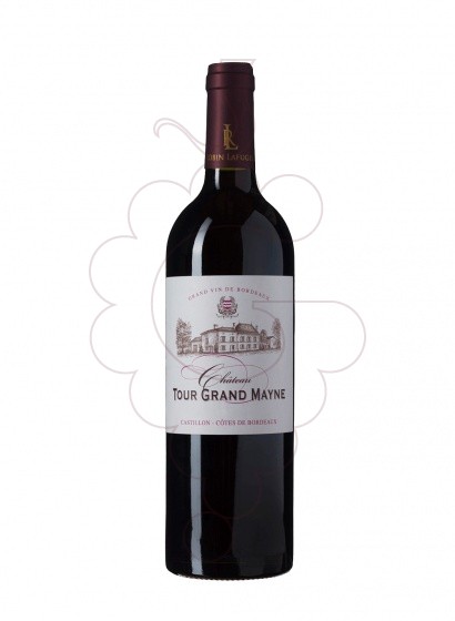 Foto Ch. Tour Grand Mayne vi negre