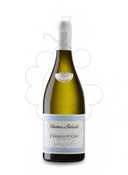 Foto Chartron et Trebuchet Chablis 1er Cru Fourchaume vi blanc