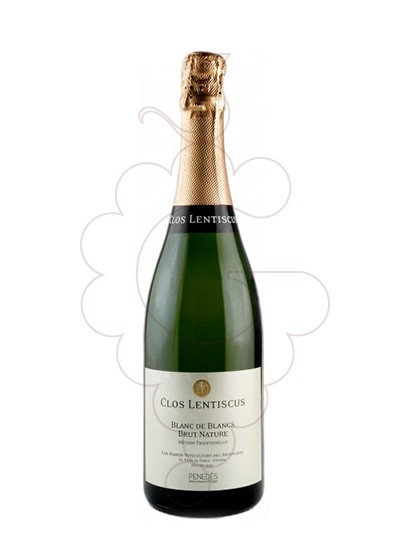 Foto Clos Lentiscus Malvasia Blanc de Blancs vi escumós