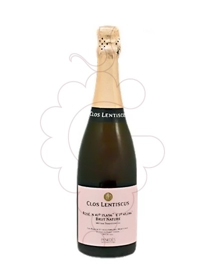 Foto Clos Lentiscus Nº 41 Brut Nature vi escumós