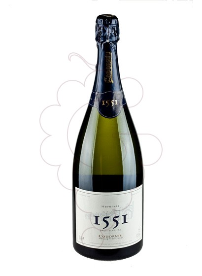Foto Codorniu 1551 Brut Nature Magnum vi escumós