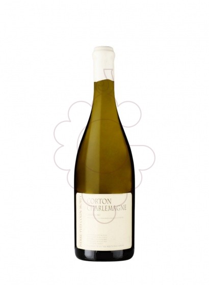 Foto Pierre-Yves Colin-Morey Corton-Charlemagne vi blanc