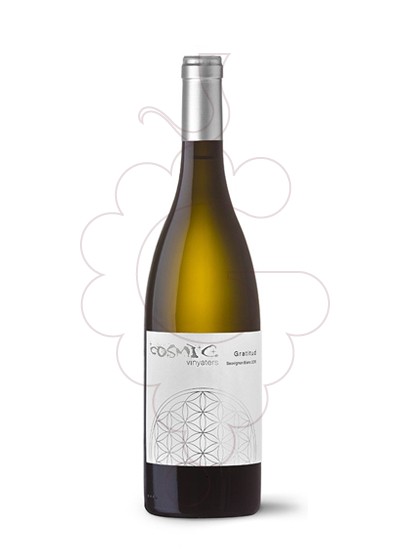 Foto Còsmic Gratitud Sauvignon Blanc vi blanc