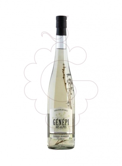 Foto Licor C.rocher genepi alpes g.rubren