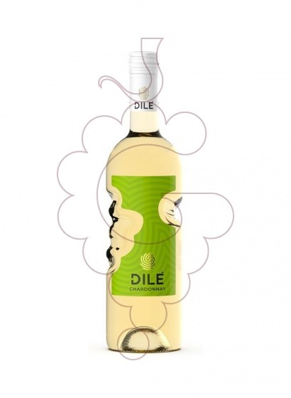 Foto Dilé Chardonnay vi blanc