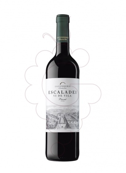 Foto Escaladei Vi de Vila vi negre