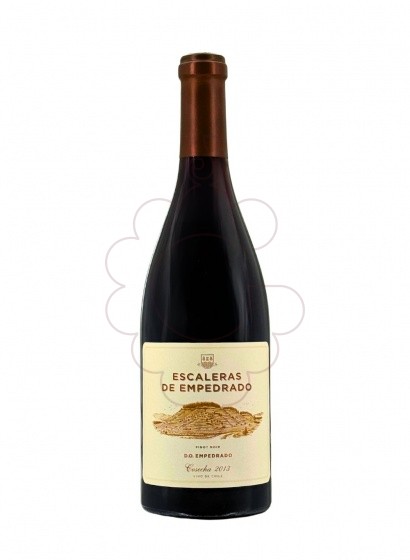 Foto Escaleras de empedrado (xile) vi negre