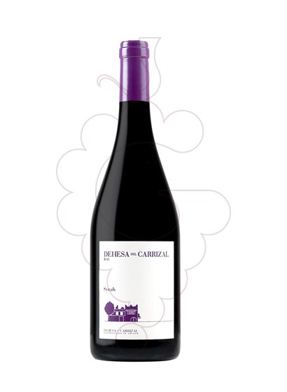 Foto Finca Caiz Carrizal Syrah vi negre