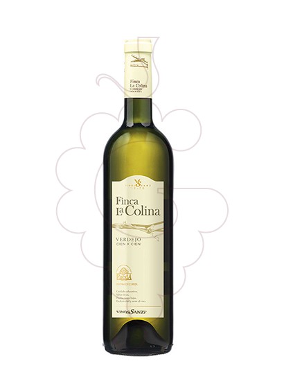 Foto Finca la Colina Verdejo Magnum vi blanc