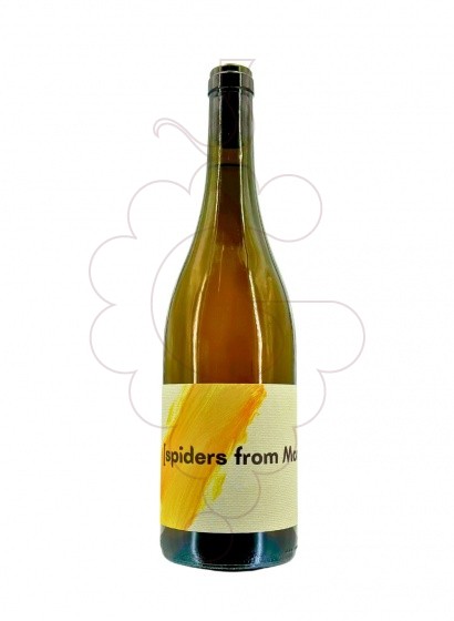 Foto F. Nicolas Spiders From Mars vi blanc