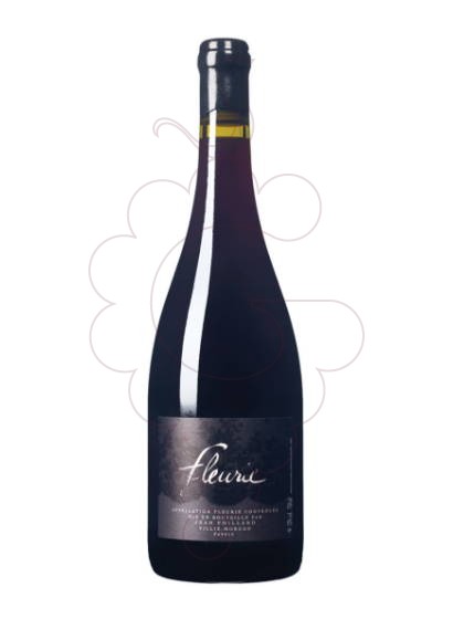 Foto Foillard Fleurie vi negre