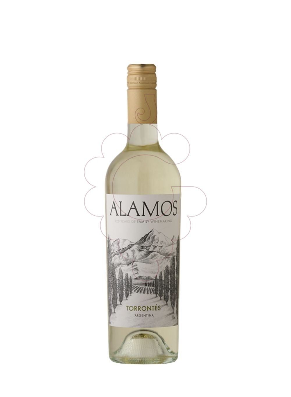 Foto Alamos Torrontés vi blanc