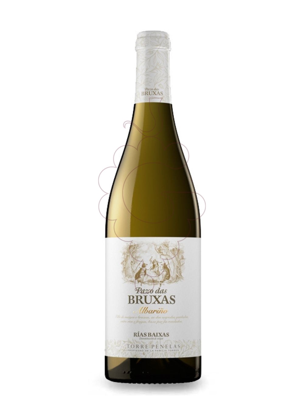 Foto Albariño Pazo das Bruxas vi blanc