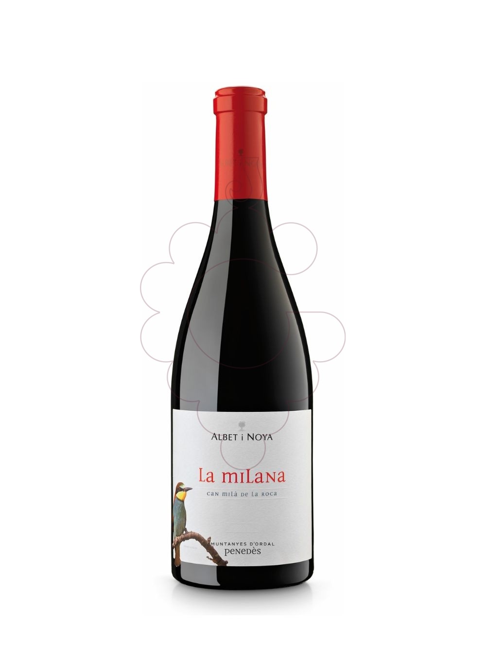 Foto Albet i Noya La Milana vi negre