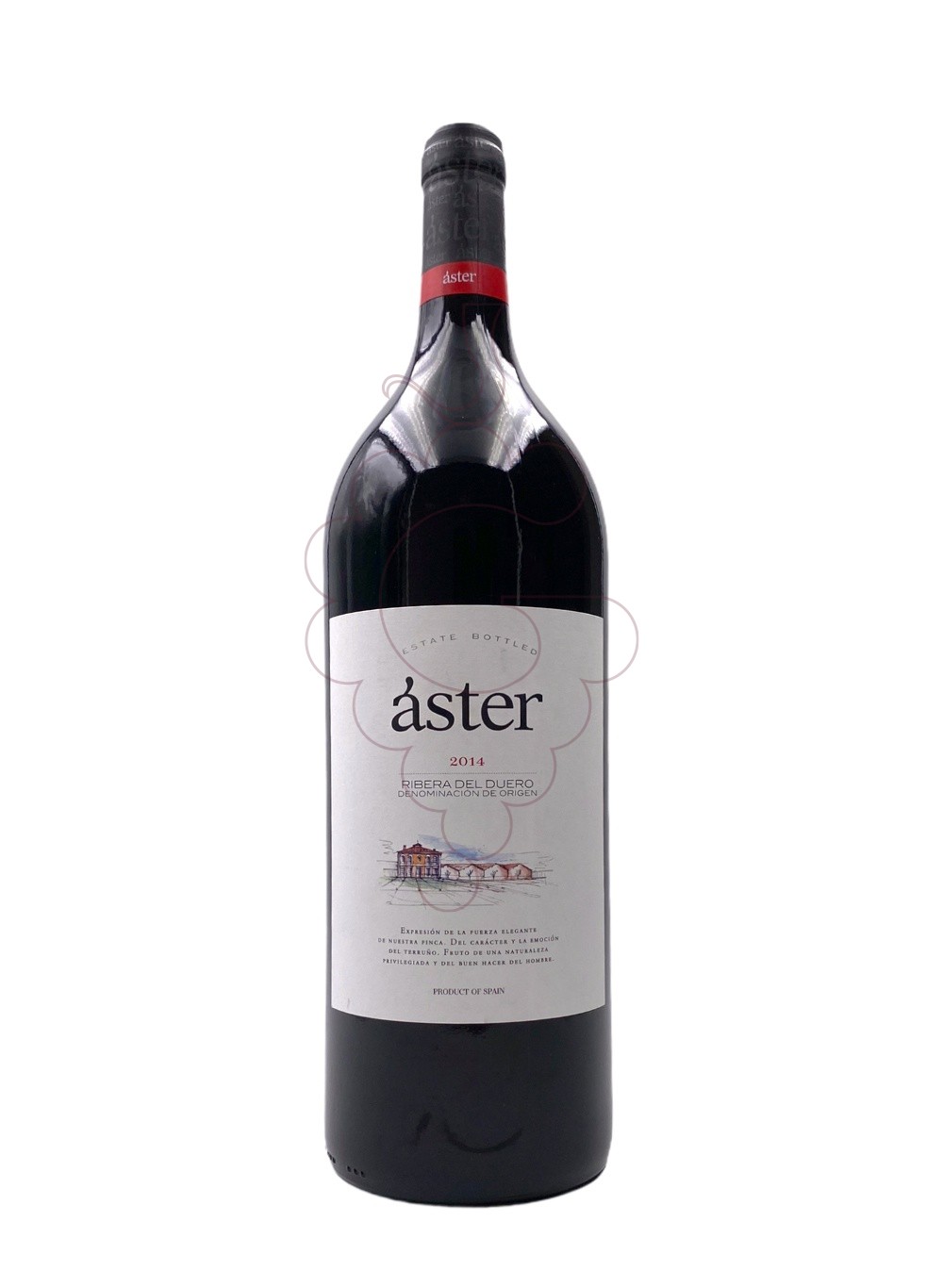 Foto Aster Crianza Magnum vi negre