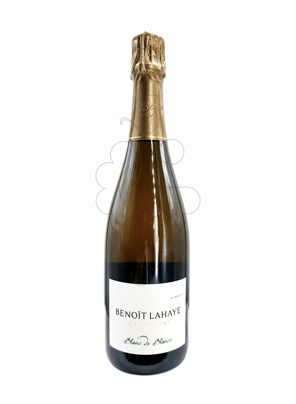 Foto Benoit Lahaye Blanc de Blancs vi escumós