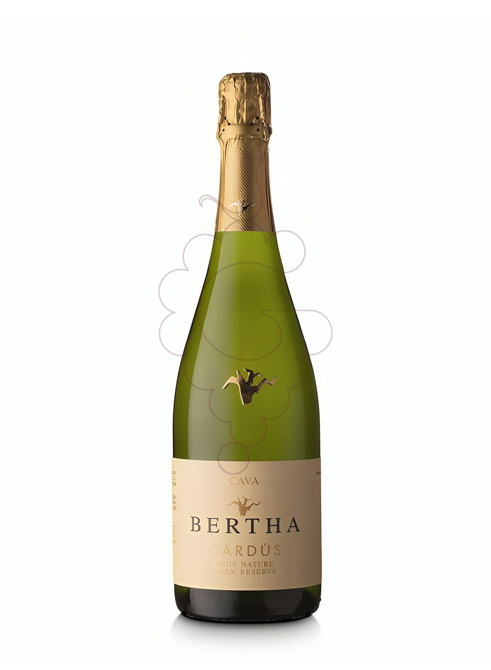 Foto Bertha Cardús Gran Reserva Brut Nature vi escumós