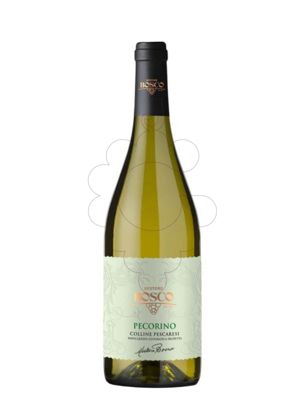 Foto Bosco Pecorino vi blanc