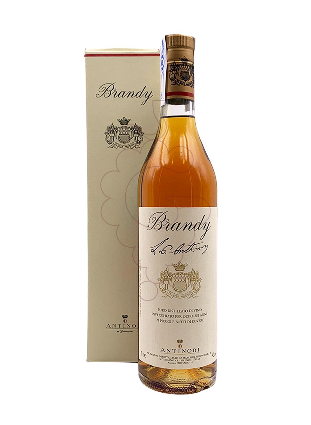 Foto Brandi Brandy Antinori