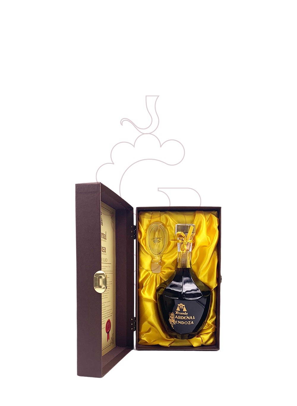 Foto Brandi Cardenal Mendoza Lujo