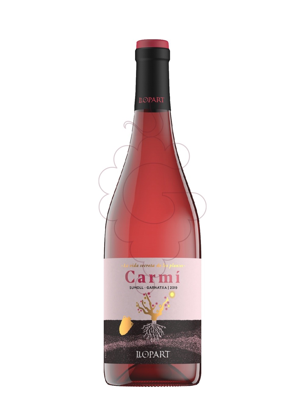 Foto Llopart Carmí La Vida Secreta de les Plantes vi rosat