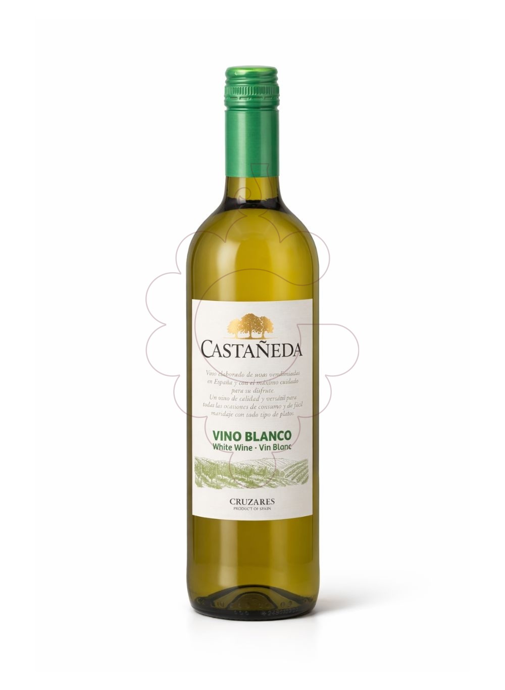 Foto Castañeda blanc vi blanc