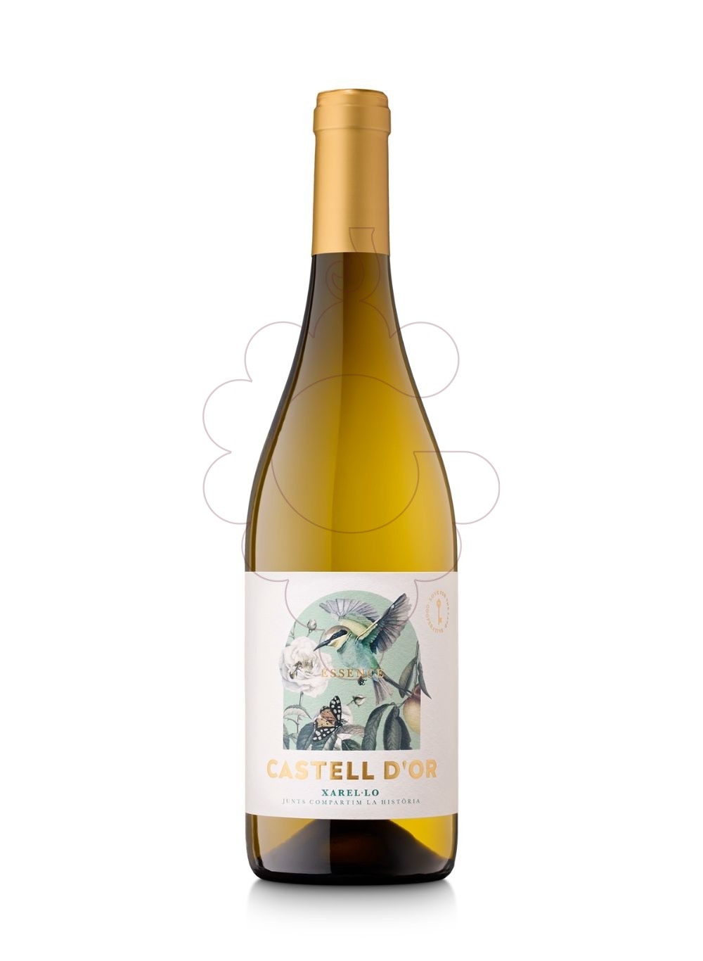Foto Castell d'Or Blanc Xarel.lo vi blanc