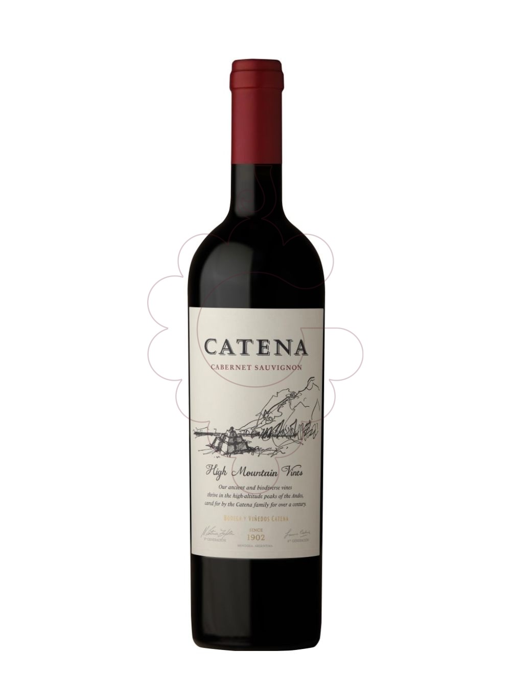 Foto Catena Cabernet Sauvignon vi negre