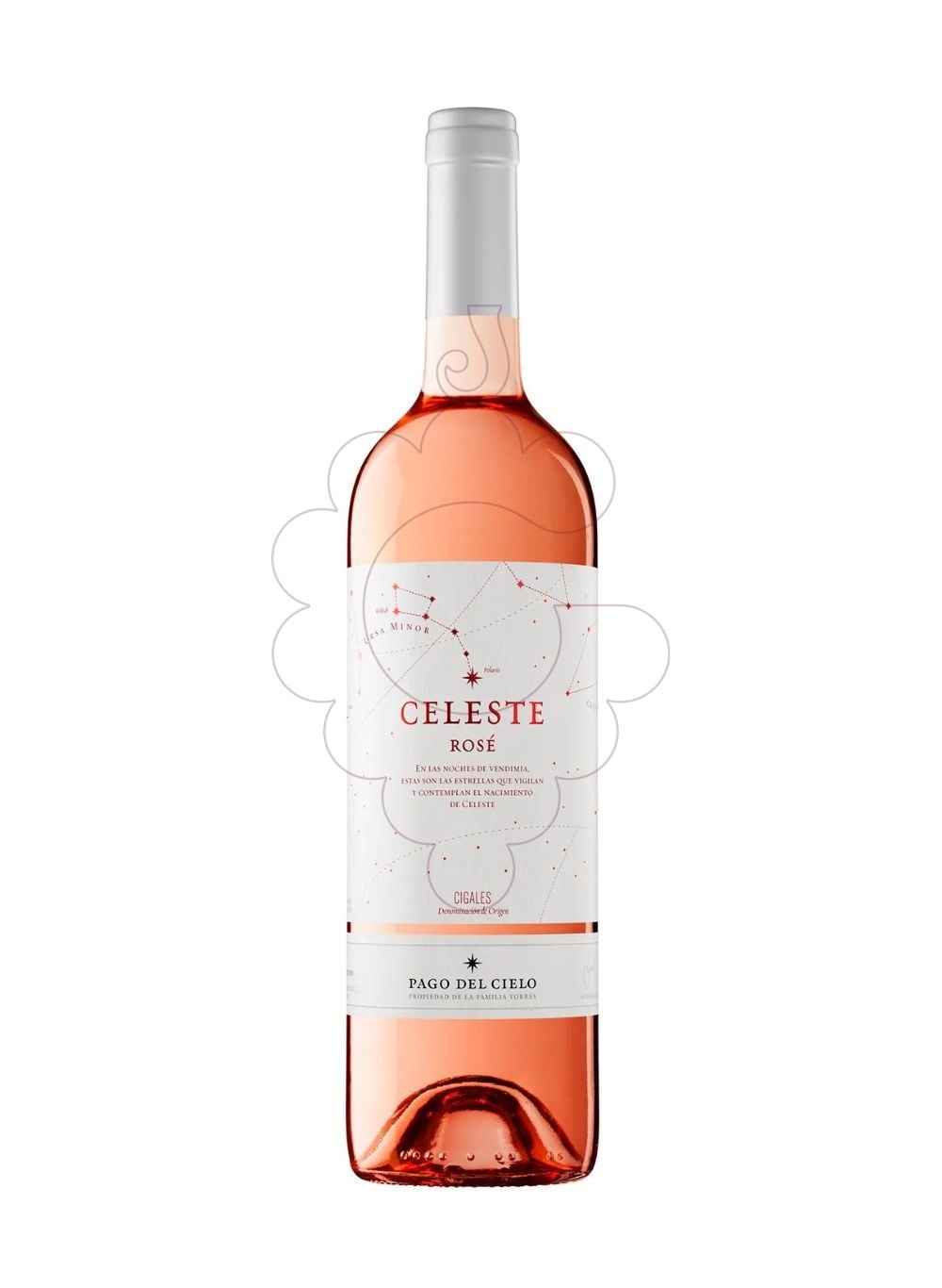 Foto Celeste Rose 2023 vi rosat