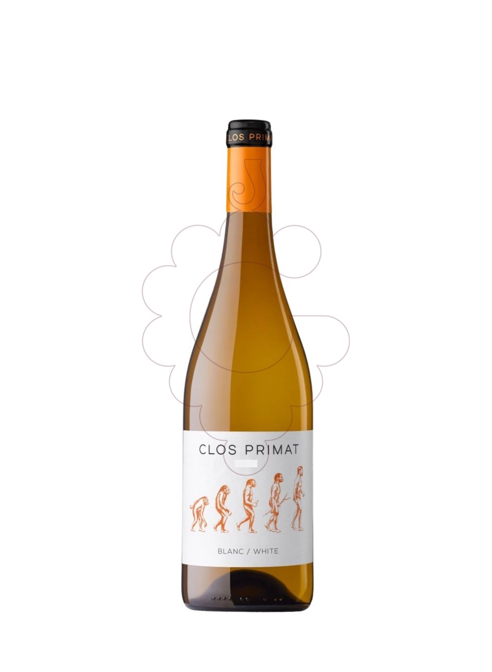 Foto Clos Primat Blanc vi blanc