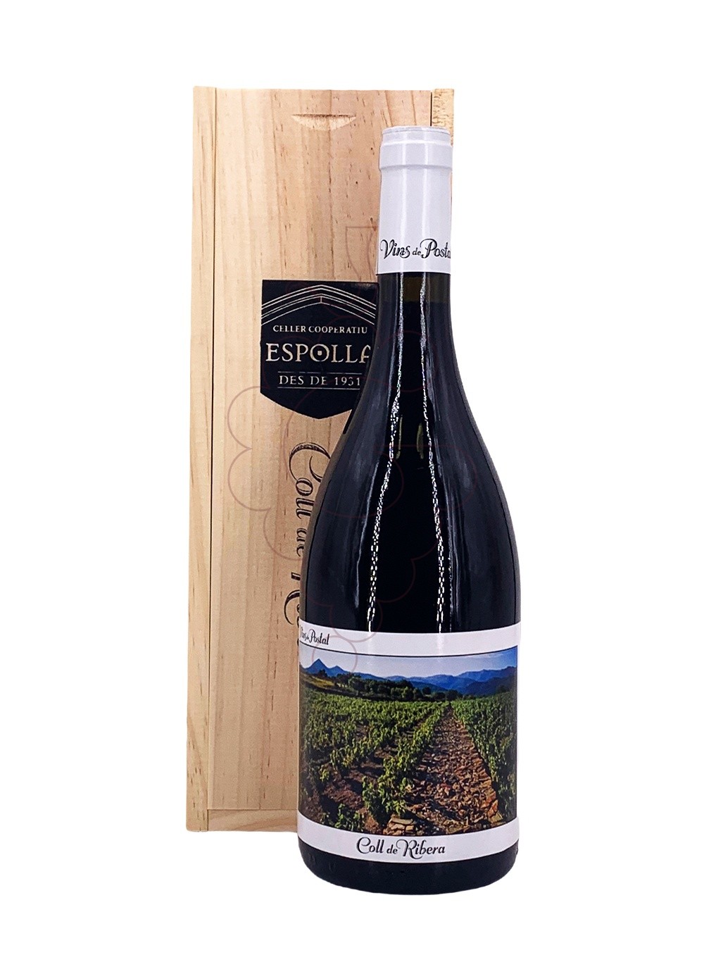 Foto Coll de Ribera Vins de Postal Espolla vi negre